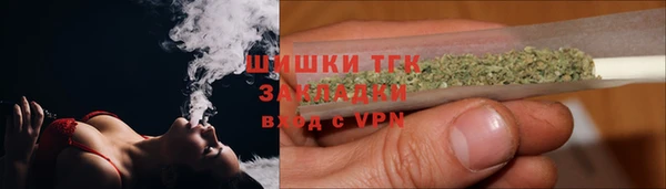 сатива Балахна